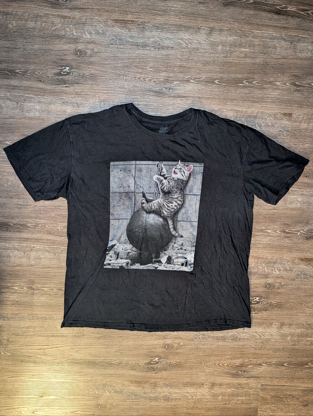 Black Graphic Tee with Kitten on Wrecking Ball